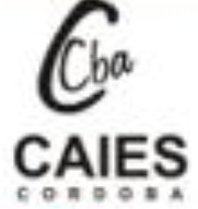 Logo C.A.I.E.